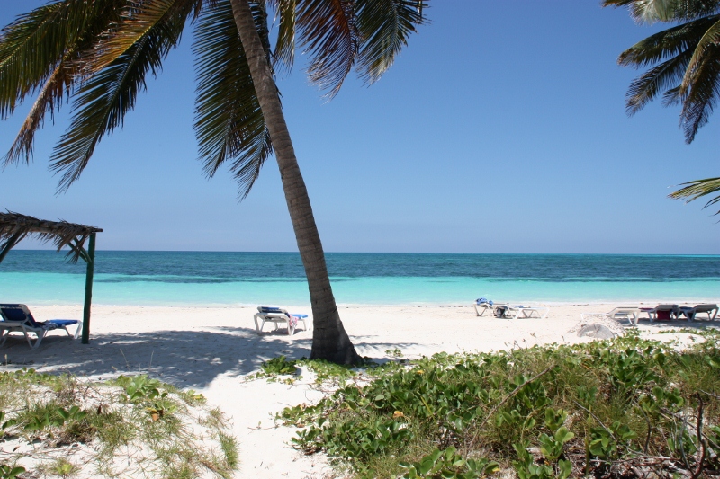 Cayo Levisa